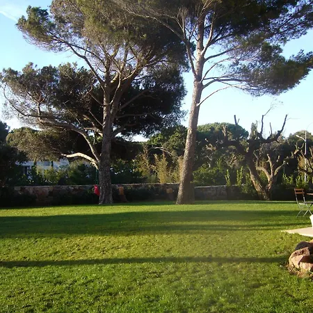 Angelina Grimaud